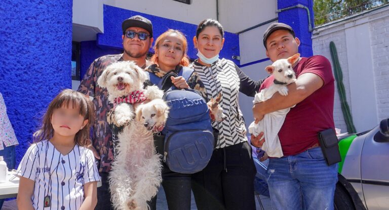 Impulsa la diputada Ana Tepole acciones en favor del bienestar animal en Tehuacán 