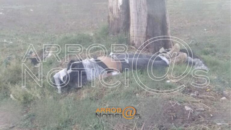 Hallan cadáver con la cabeza emplayada en San Martín Texmelucan