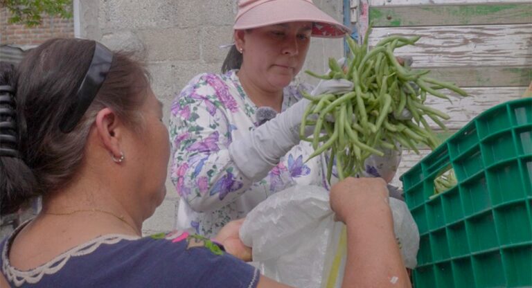 Diputada Ana Tepole impulsa apoyo alimentario para más de 600 familias