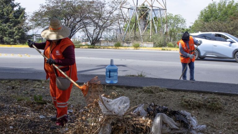 Acciones de limpieza del Gobierno de Pepe Chedraui llegan a Bulevar Municipio Libre