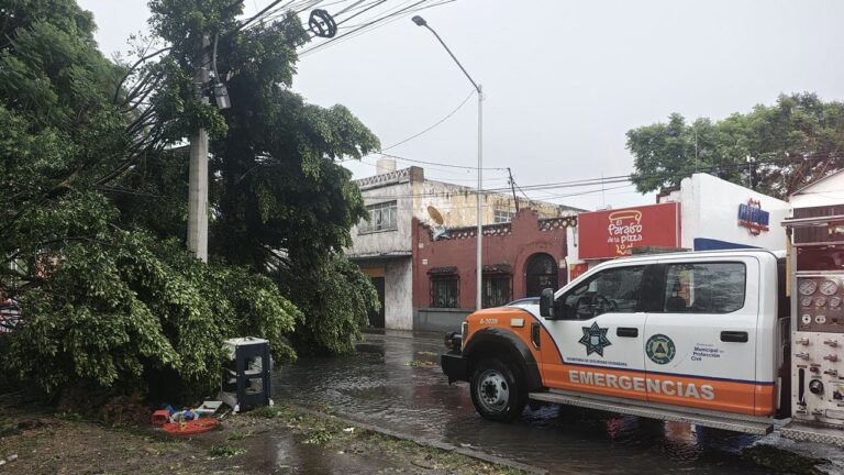 Gobierno de Pepe Chedraui atiende incidencias por lluvias y vientos
