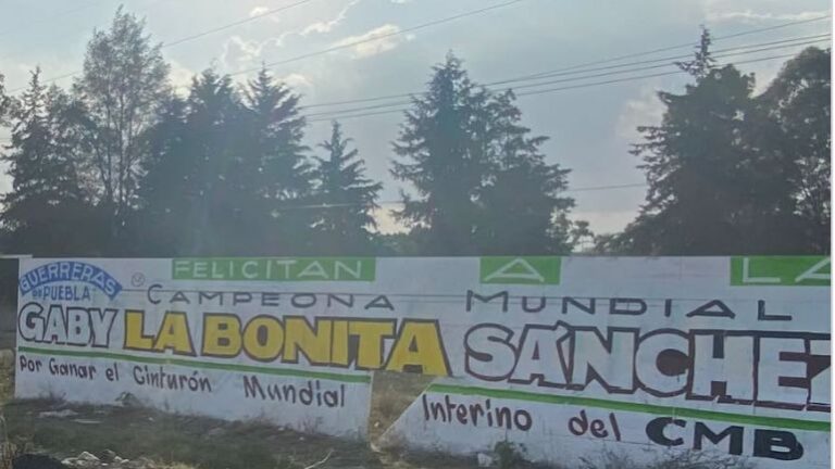 Borraron las bardas de “La Bonita”