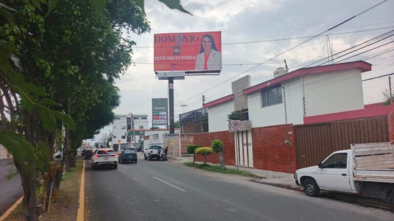 Teté por MC y Lili por el PAN