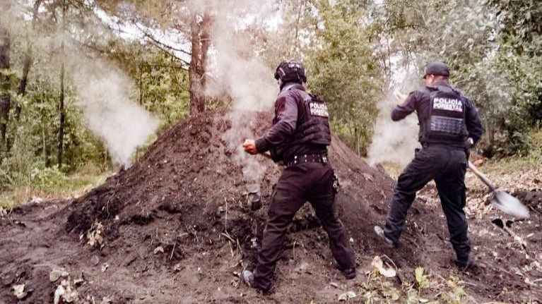 Policía Forestal destruye 11 hornos clandestinos para deshidratar madera