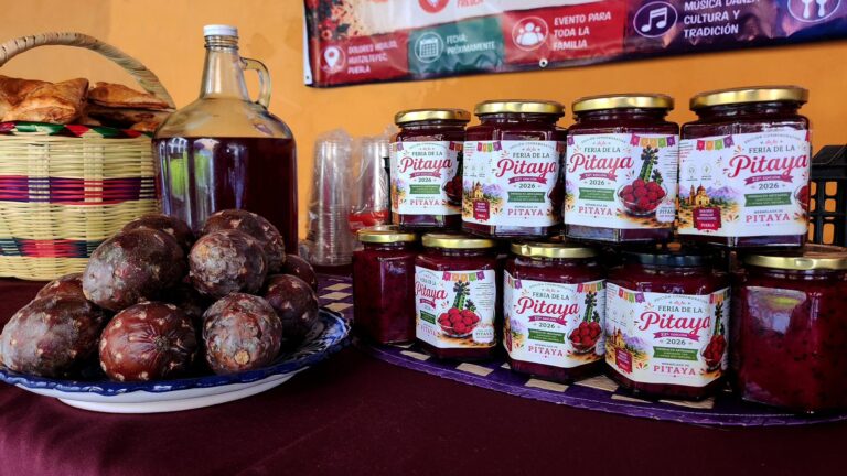 Promueve Turismo “Feria de la Pitaya y Pitahaya” de Huitziltepec