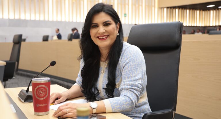 Propone diputada Delfina Pozos consulta previa en juntas auxiliares por concesión de servicios