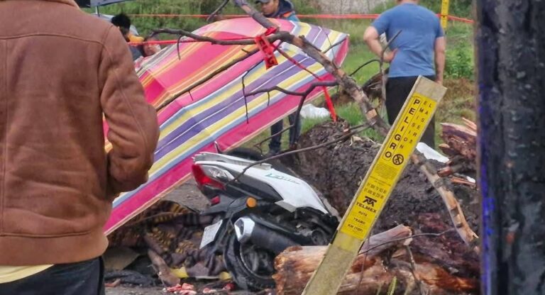 Muere aplastada por un árbol en Texmelucan, dos mujeres más resultaron lesionadas