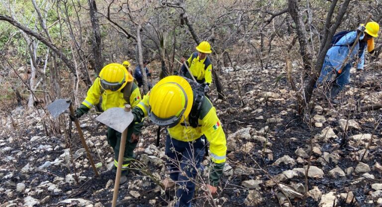 Coordinación interinstitucional logra sofocar incendio forestal sin daños a la población en Cohetzala