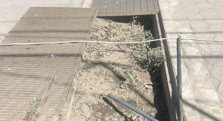 Piden Ciudadanos de San Francisco Ocotlán mayor trabajo en limpia de calles