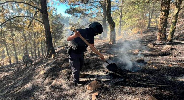 Fortalece Seguridad Pública protección y combate a delitos ambientales