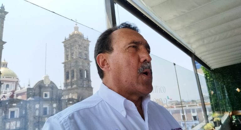 Existen 2 gatos por cada perro; hay una sobrepoblación en Puebla