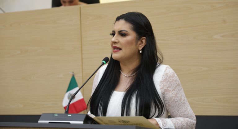 Presenta Delfina Pozos exhorto para construir e implementar una estrategia de seguridad 