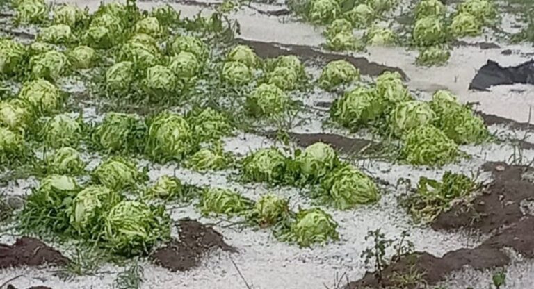 Gobierno del Estado supervisa afectaciones por granizada en municipios de región Izta-Popo