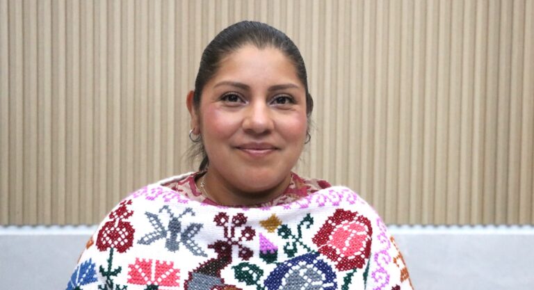 Promueve la diputada Elisa Limon acciones para garantizar los derechos de pueblos originarios y grupos vulnerables  