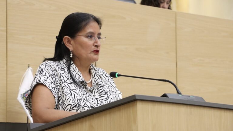 Diputada Esther Martínez presenta exhorto para verificar candidaturas indígenas 