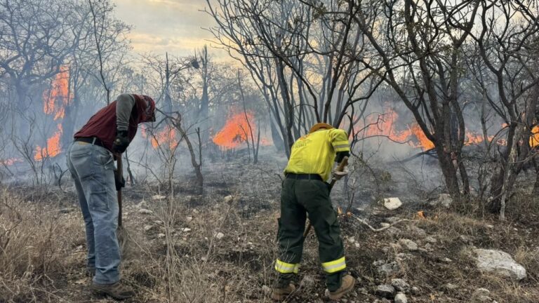 Gobierno del Estado continúa combate de incendio en la Mixteca