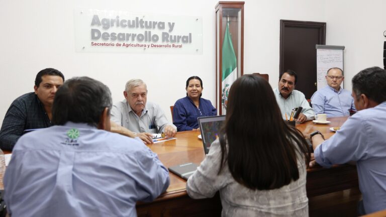 Gobierno estatal consolida acciones sanitarias para incrementar productividad de la caña de azúcar