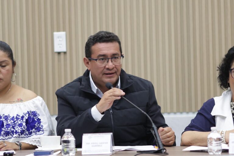 Evaluaría Congreso partida especial para que gobierno adquiera autos Olinea