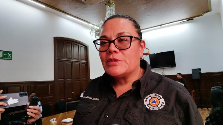 Revisión única a los ambulantes por uso del Gas LP en el Centro Histórico