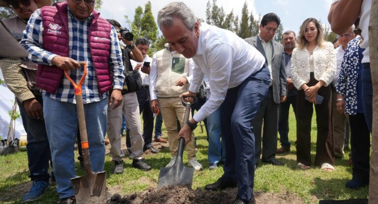 Avanza Pepe Chedraui en la recuperación de áreas verdes con “Raíces del Futuro”
