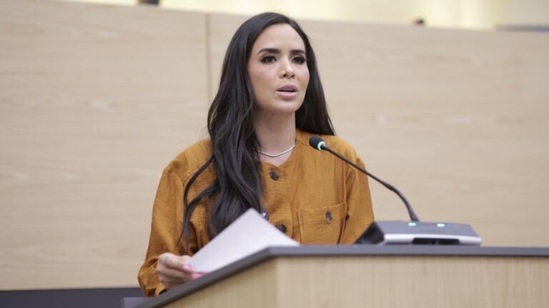 Impulsa diputada Graciela Palomares exhorto para visibilizar, reconocer y dignificar el trabajo doméstico y de cuidados