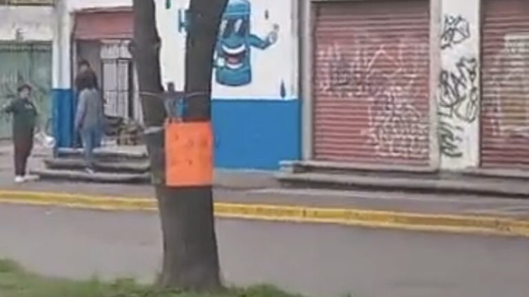 Vecinos de San Sebastián se manifiestan por tala clandestina de árboles