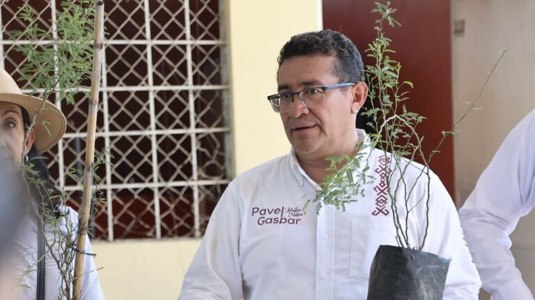 Diputado Pável Gaspar promueve jornadas de reforestación en San Juan Epatlán y Chiautla de Tapia