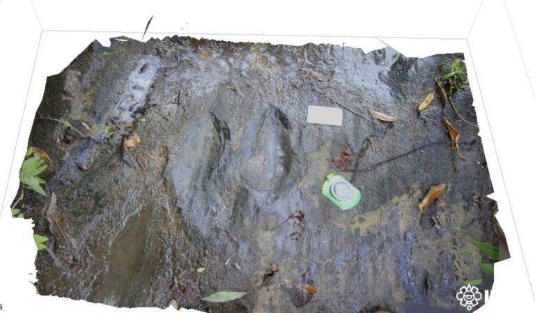 INAH confirma descubrimiento de 50 huellas de dinosaurios en Apatzingán, Michoacán