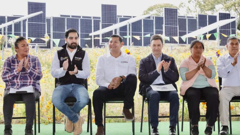 Primer sistema agrovoltaico del país, gobierno estatal marca precedente